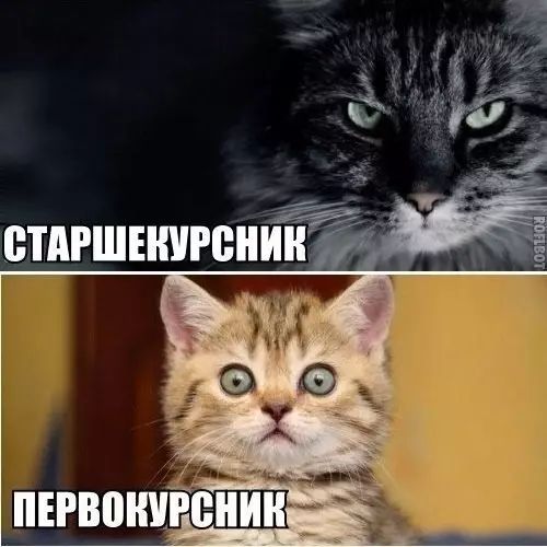 етмшипен Ъ