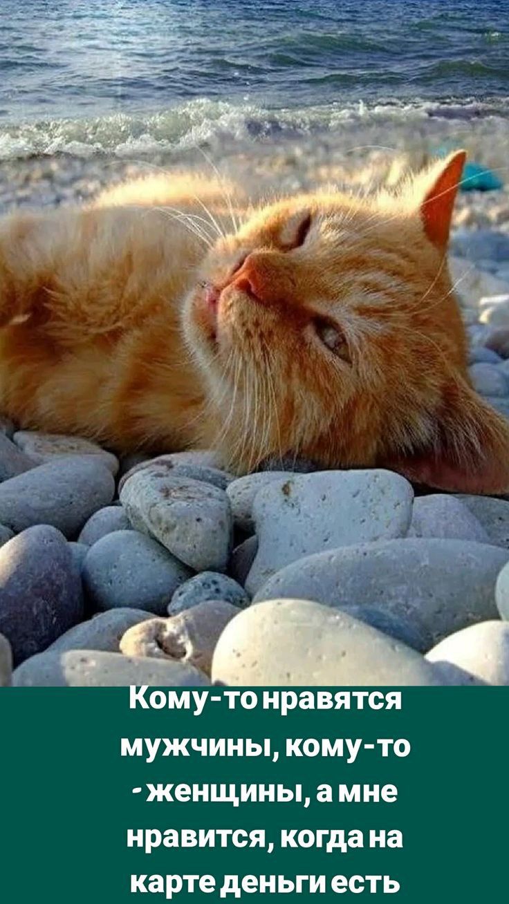 і у ому то нравятся мужчины кому то женщины амне нравится когдана карте деньгиесть