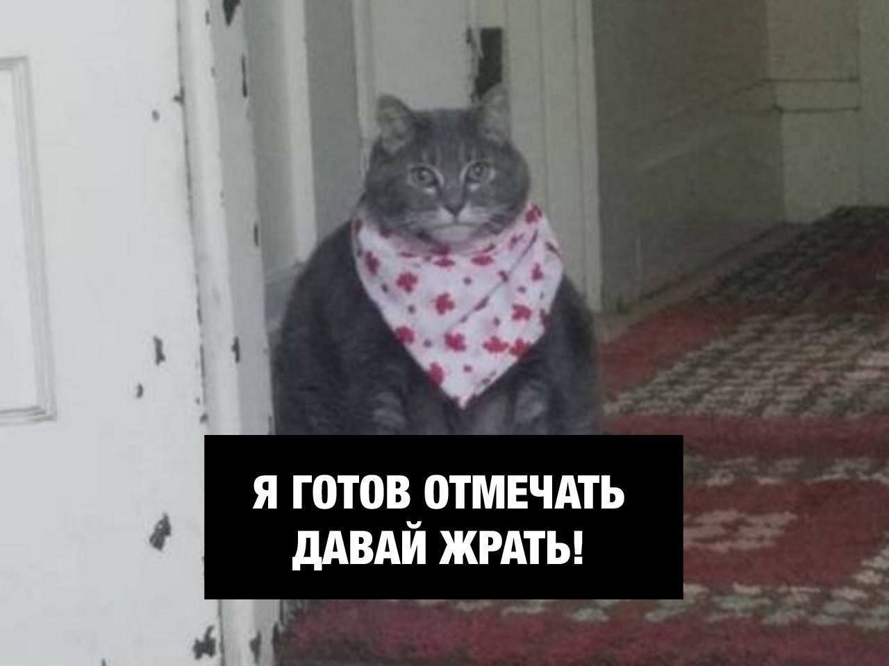 я ГОТОВ ОТМЕЧАТЬ ДАВАЙ ЖРАТЬ