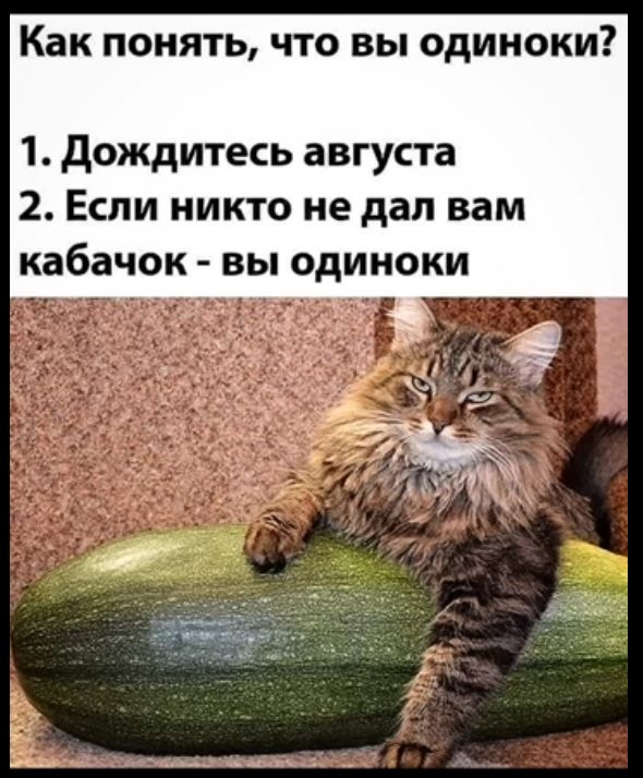 Как понять что вы одиноки 1 Дождитесь августа 2 Если никто не дал вам кабачок вы одиноки
