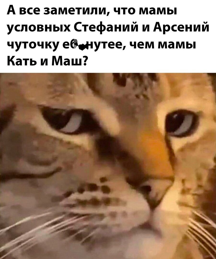 А все заметили что мамы условных Стефаний и Арсений чуточку евенутее чем мамы Кать и Маш В