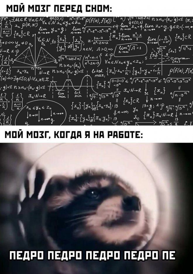 МОЗГ ПЕРЕД СНО МОЙ МОЗГ КОГДА Я НА РАБОТЕ ПЕДРО ПЕДРО ПЕДРО ПЕДРО ПЕ