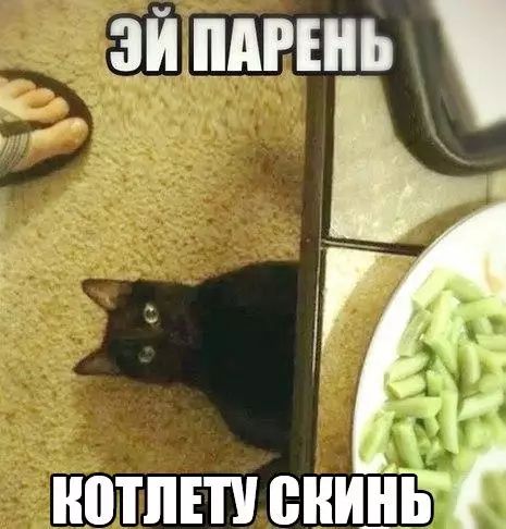 С ЭИ ПАРЕНЬ ч В аь КОТЛЕТУ сииШТг