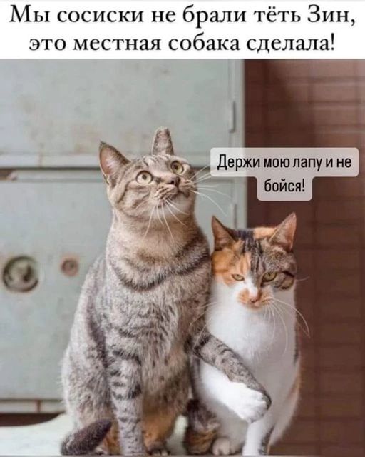Мы сосиски не брали тёть Зин это местная собака сделала