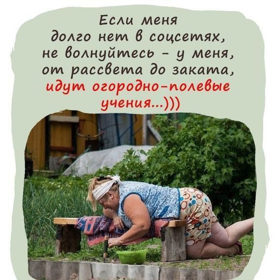 Если меня долго неи в соцсеилях не волнуйтесь цу меня от рассвета до закаита