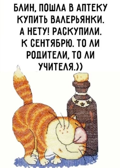 БЛИН ПОШЛА В АПТЕКУ КУПИТЬ ВАЛЕРЬЯНКИ А НЕТУ РАСКУПИЛИ К СЕНТЯБРЮ ТО ЛИ РОДИТЕЛИ ТО ЛИ УЧИТЕЛЯ