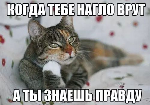Ч Л АТЬ ЗНАЕШЬ ПРАВДУ