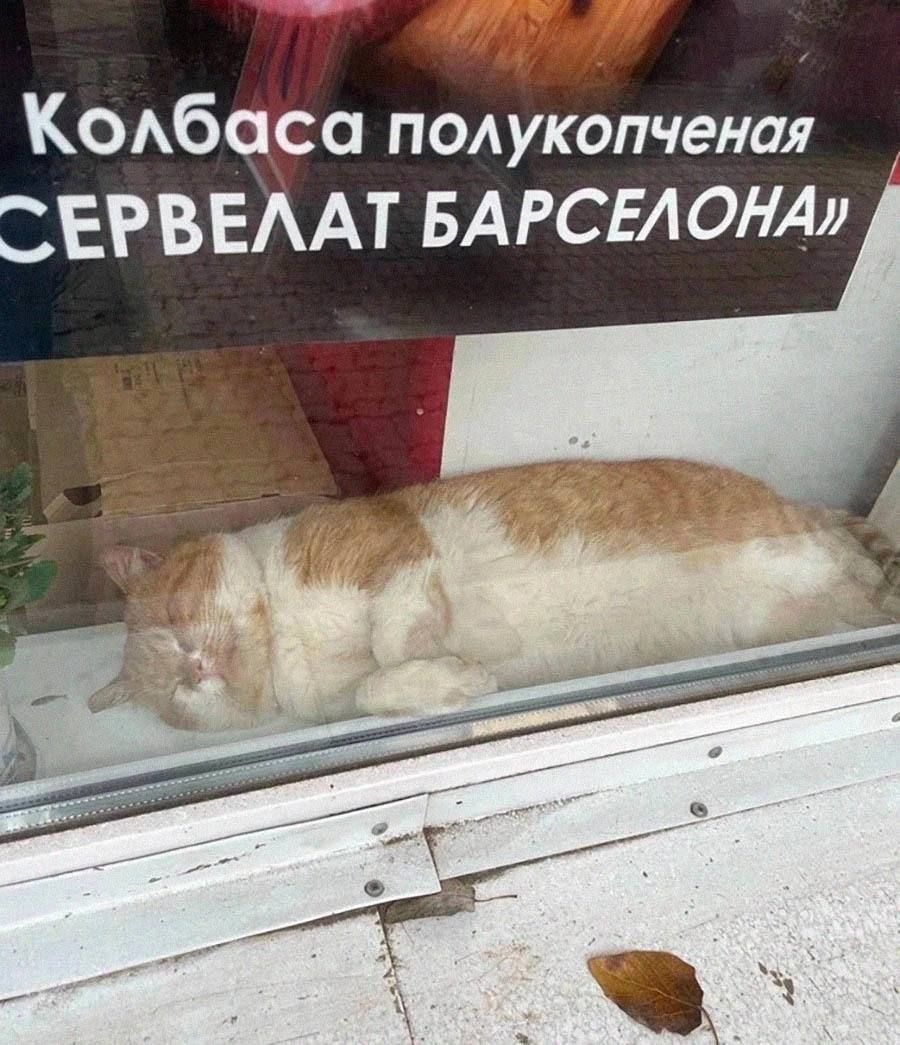 Колбаса полуколченая ЕРВЕЛАТ БАРСЕЛОНА