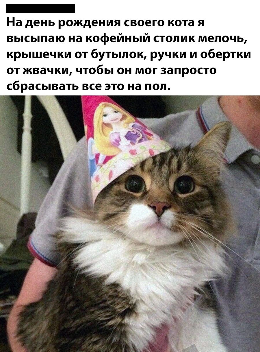 Г На день рождения своего кота я высыпаю на кофейный столик мелочь крышечки от бутылок ручки и обертки от жвачки чтобы он мог запросто сбрасывать все это на пол