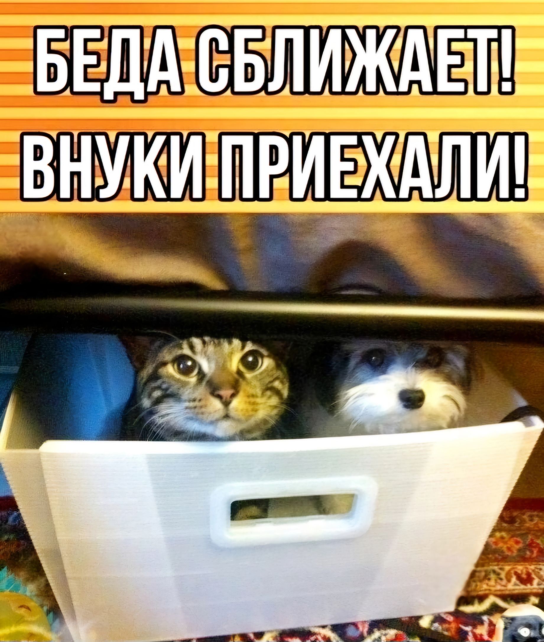 СБЛИЖАЕТ ВНУКИЛЕЙЕХАЛИ