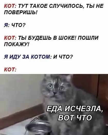 КОТ ТУТ ТАКОЕ СЛУЧИЛОСЬ ТЫ НЕ ПОВЕРИШЬ Я что КОТ ТЫ БУДЕШЬ В ШОКЕ ПОШЛИ ПОКАЖУ Я ИДУ ЗА КОТОМ И ЧТО Кот ЕДА ИСЧЕЗЛА ВО ЧТо