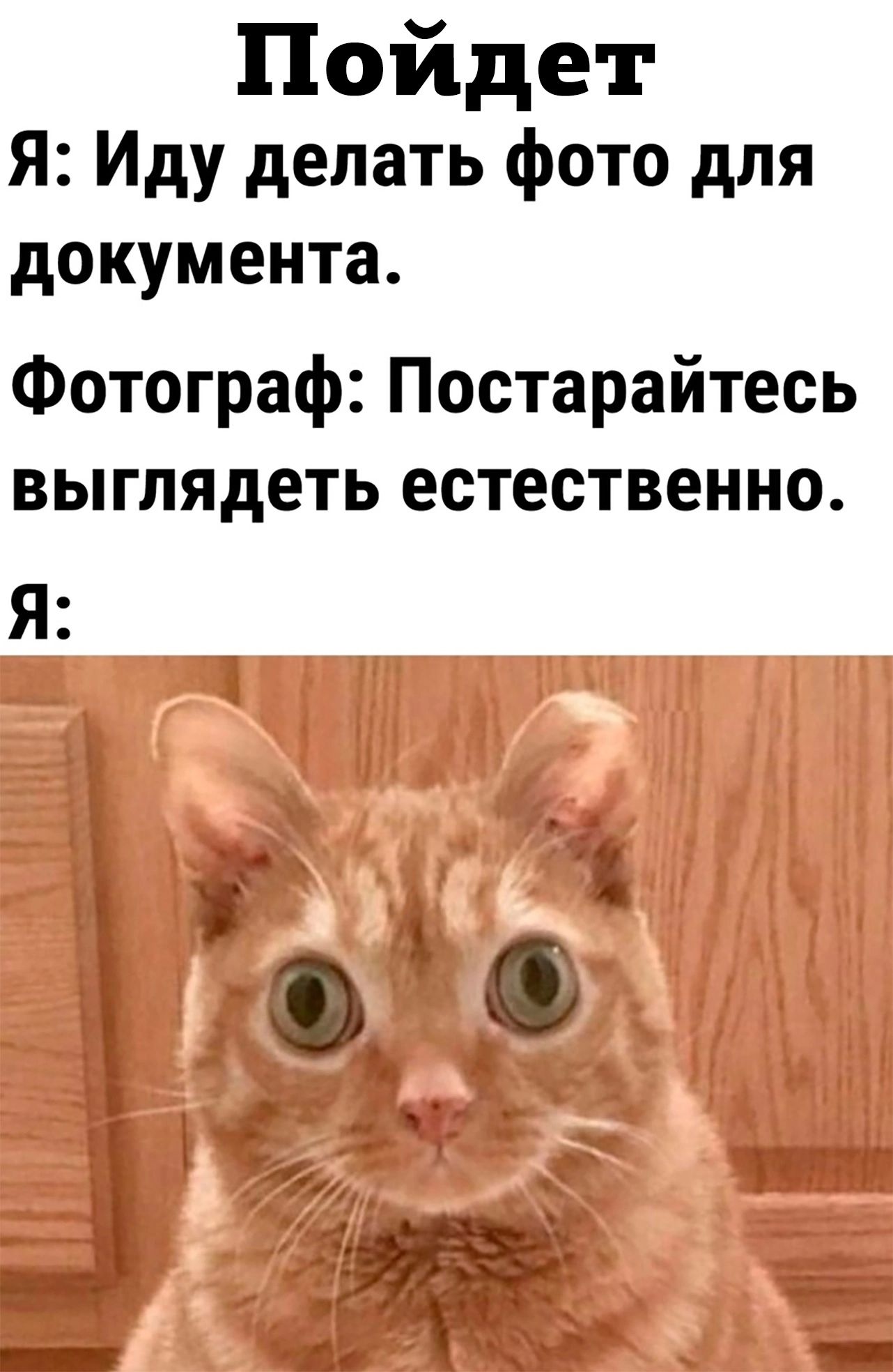 Пойдет Я Иду делать фото для документа Фотограф Постарайтесь выглядеть естественно Я