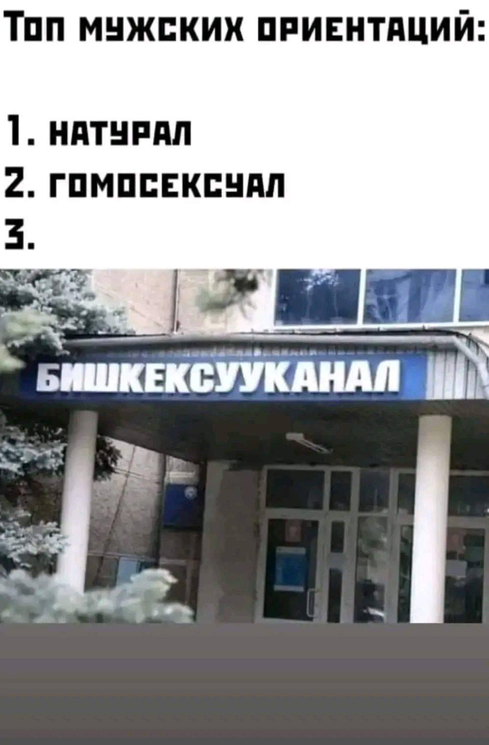ТОП МУЖСКИХ ОРИЕНТАЦИЙ 1 НАТУРАЛ 2 ГОМОСЕКСУАЛ
