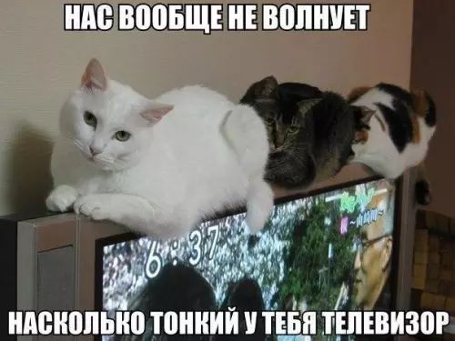 Е Е НАСВООБЩЕ й ИАШЮПЬМ ТОННИЙ У ТЕБЯ ТЕЛЕВИЗОР