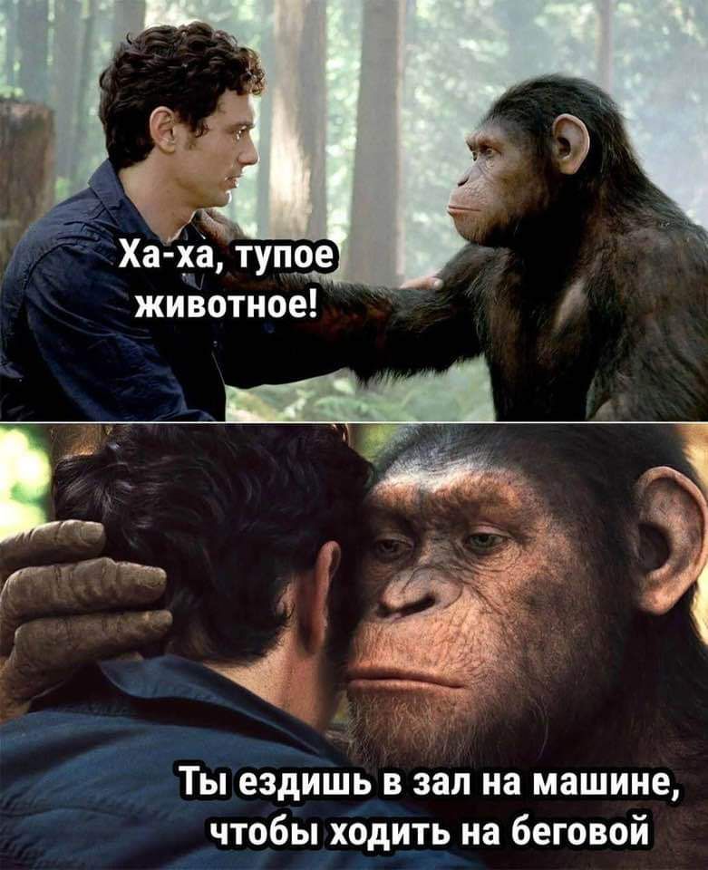 А _ Ха ха тупое животное Ты ездишь в зал на машине чтобы ходить на беговой