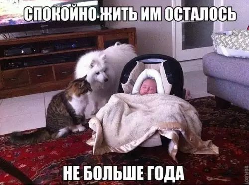 ён_іттжиль ОСТАЛОСЬ т НЕБОЛЬШЕГОДА