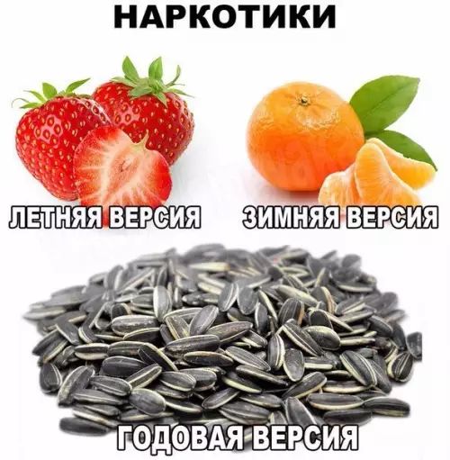 НАРКОТИКИ 4
