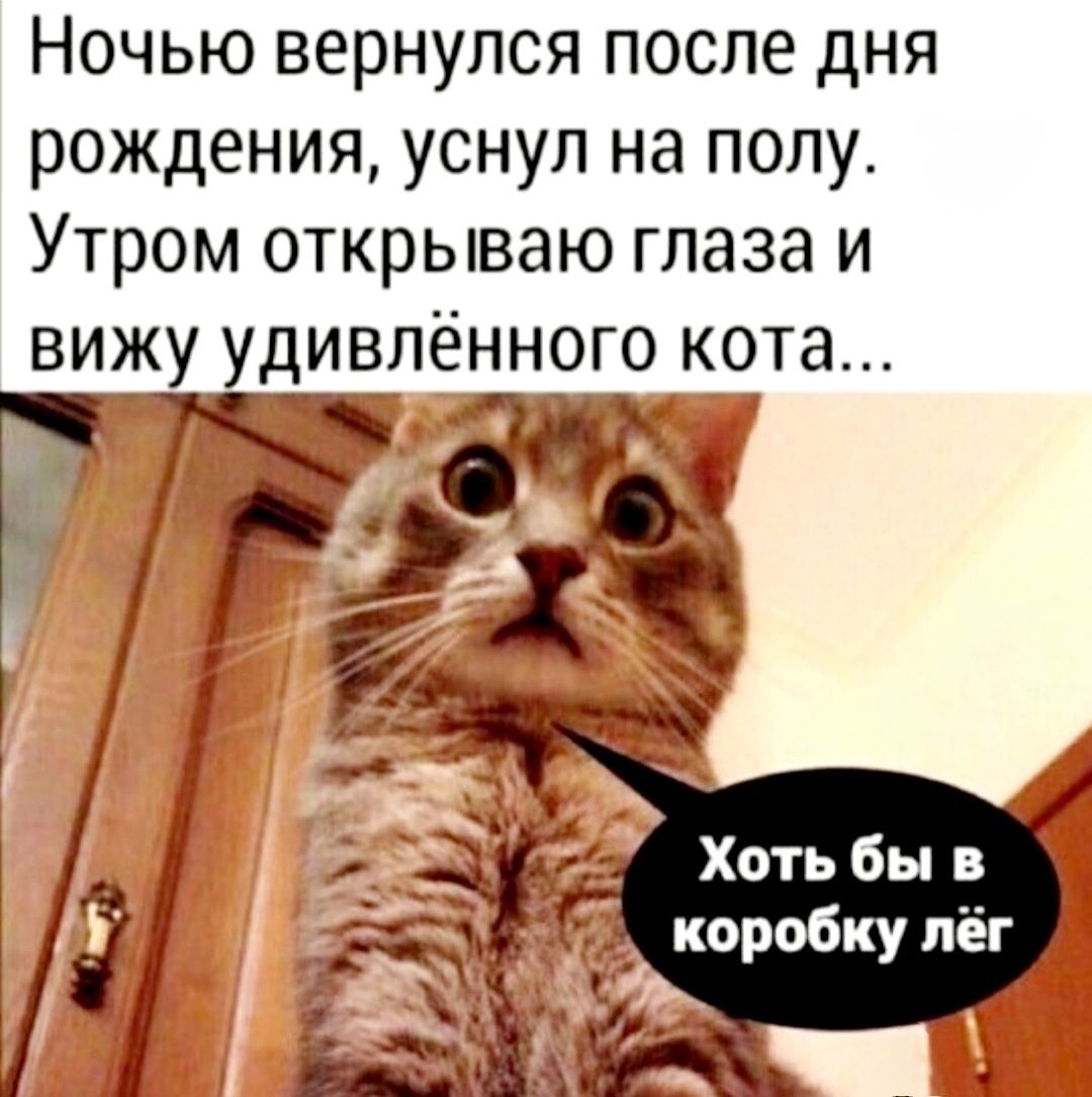 Ночью вернулся после дня рождения уснул на полу Утром открываю глаза и