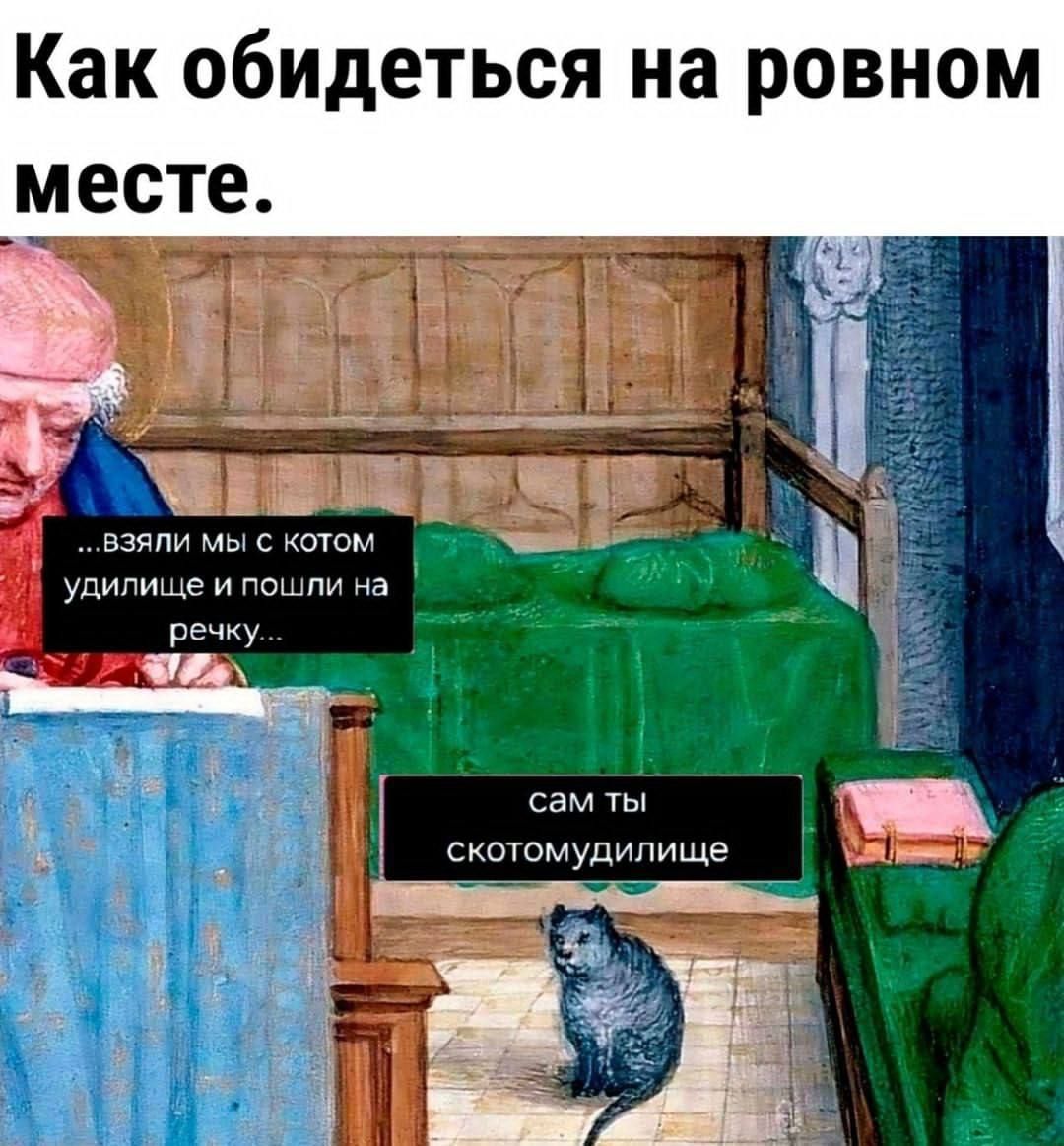 Как обидеться на ровном месте взя с котом удилище и пошли на Г ооы НА скотомудилище 8 и я