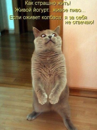 Как страш ИЕ Живой йогурт ЖИВ ли оживет колбаса