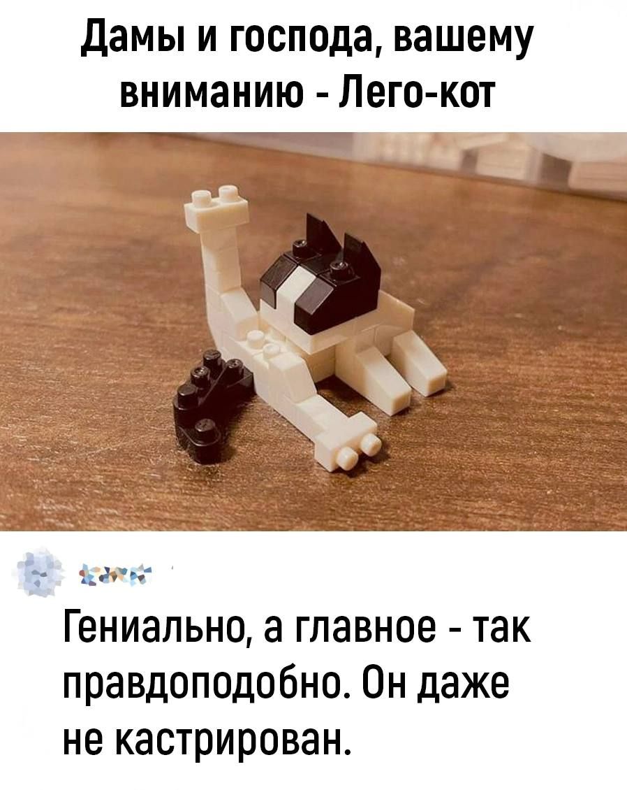 Дамы и господа вашему вниманию Лего кот т ое Гениально а главное так правдоподобно Он даже не кастрирован