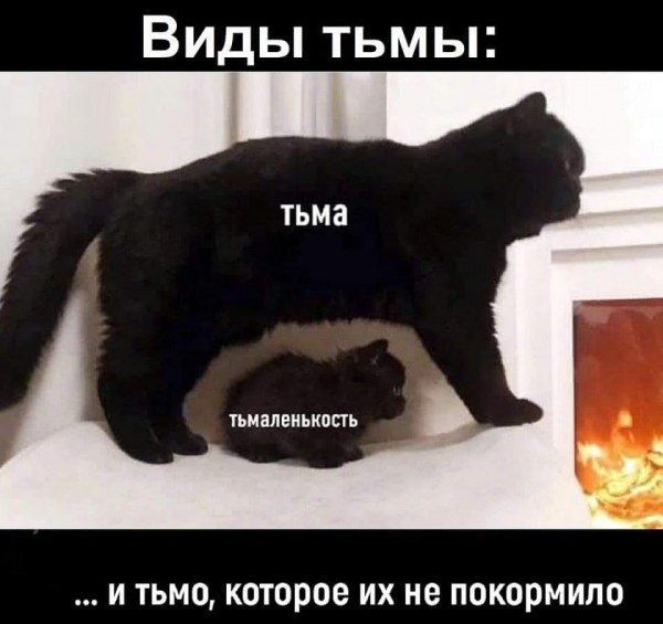Виды тьмы тьмаленькость И тьмо которое их не покормило
