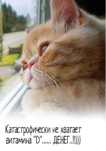 Катастрофически не хватает витамина О ДЕНЕГ