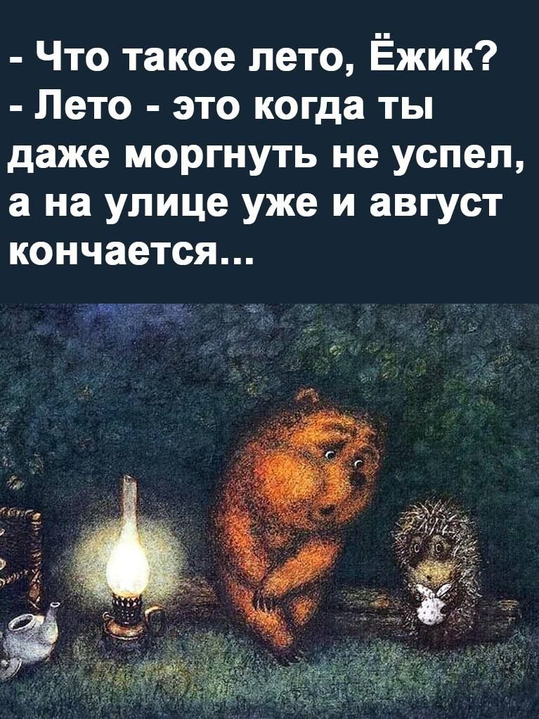 Что такое лето Ёжик Лето это когда ты даже моргнуть не успел а на улице уже и август кончается ча