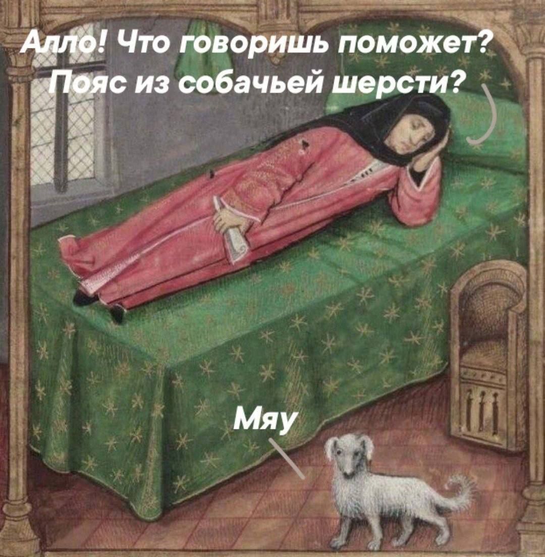 Что Фворишь поможе п из собачьей Рюрсти і Сетозй