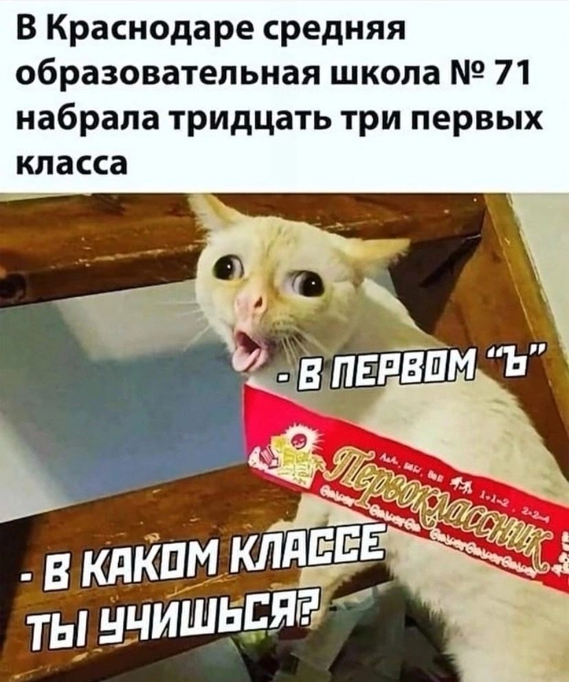 В Краснодаре средняя образовательная школа 71 набрала тридцать три первых
