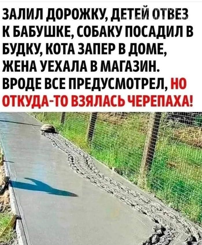 ЗАЛИЛ ДОРОЖКУ ДЕТЕЙ ОТВЕЗ К БАБУШКЕ СОБАКУ ПОСАДИЛ В БУДКУ КОТА ЗАПЕР В ДОМЕ ЖЕНА УЕХАЛА В МАГАЗИН ВРОДЕ ВСЕ ПРЕДУСМОТРЕЛ НО ОТКУДА ТО ВЗЯЛАСЬ ЧЕРЕПАХА ы о ЕсОРВЕМТОТИ еар оВ