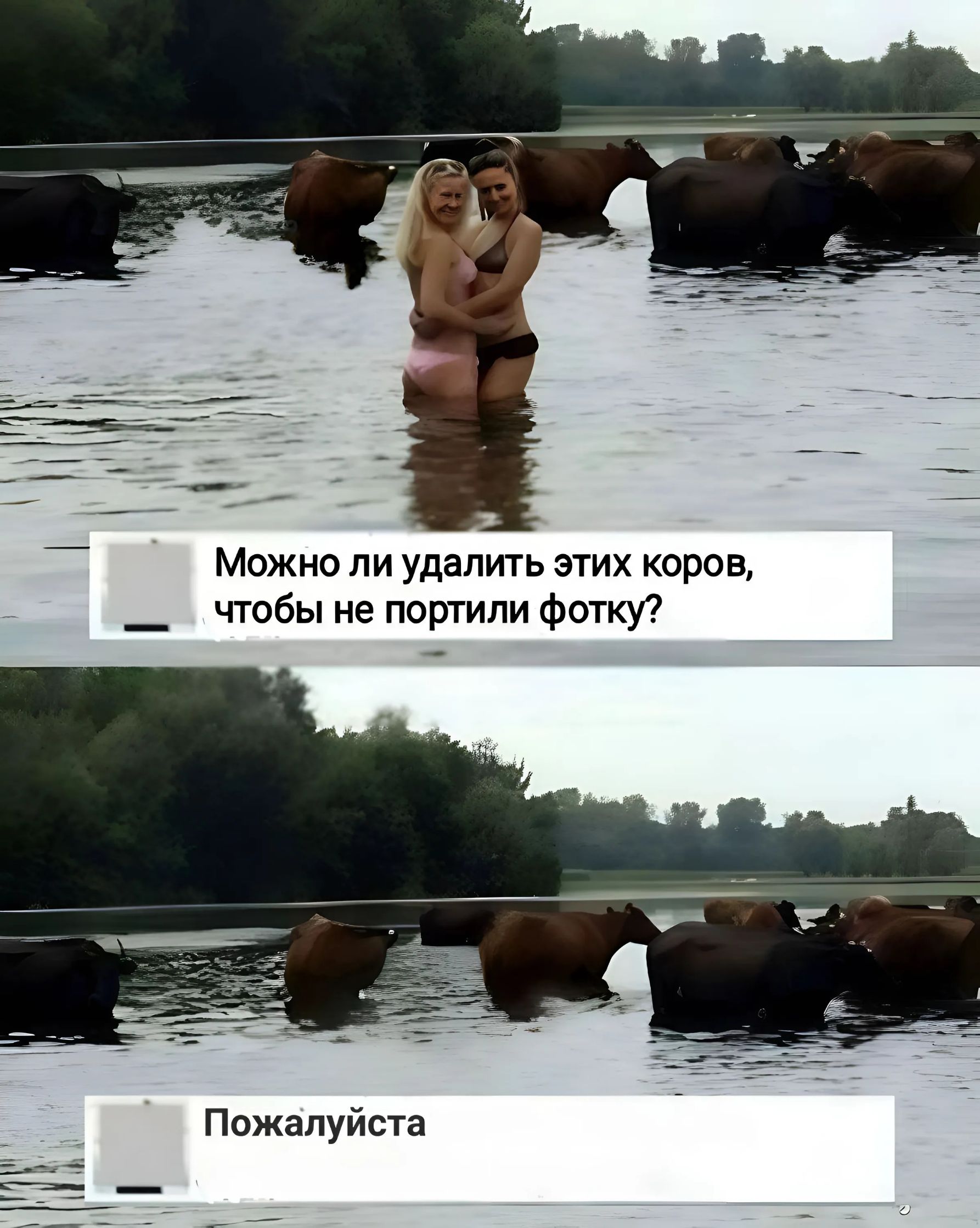 Можно ли удалить этих коров чтобы не портили фотку