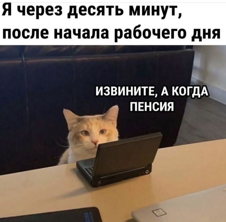 Я через десять минут после начала рабочего д _ ИЗВИНИТЕ А КОГДА ПЕНСИЯ