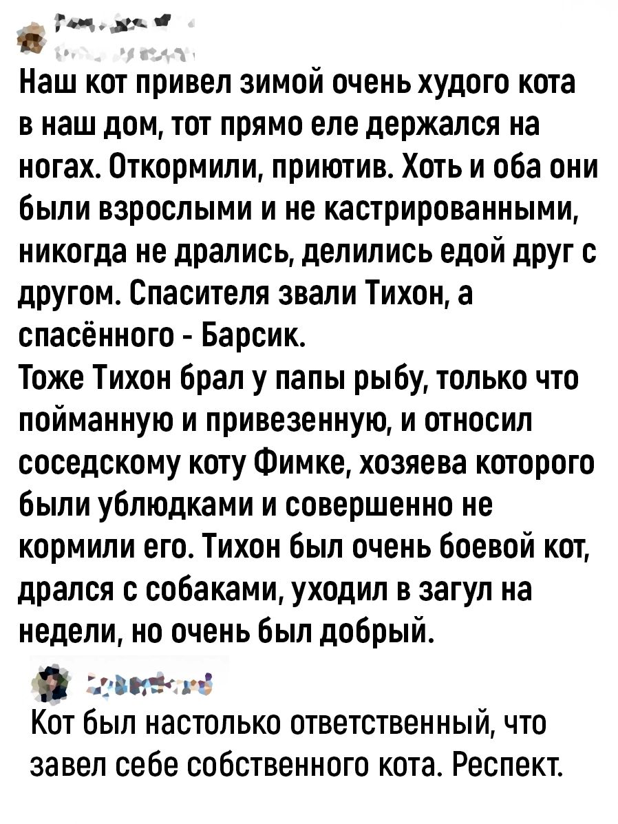 в 77 Наш кот привел зимой очень худого кота в наш дом тот прямо еле держался на ногах Откормили приютив Хоть и оба они были взрослыми и не кастрированными никогда не дрались делились едой друг с другом Спасителя звали Тихон а спасённого Барсик Тоже Тихон брал у папы рыбу только что пойманную и привезенную и относил соседскому коту Фимке хозяева которого были ублюдками и совершенно не кормили его Т