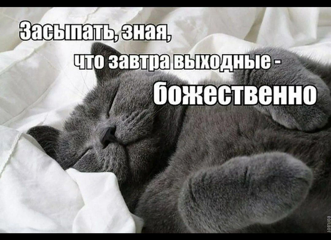 ЗаСРПОТЫ Сна 000 зщш ВЫхоДНЫе божествеинп