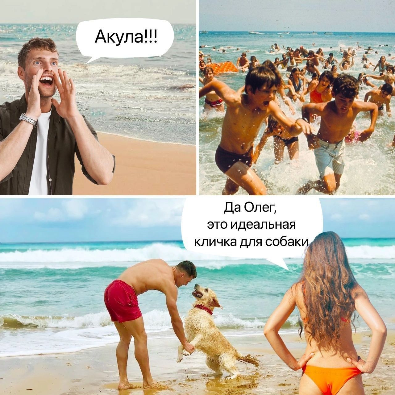 Да Олег это идеальная кличка для собаки а а