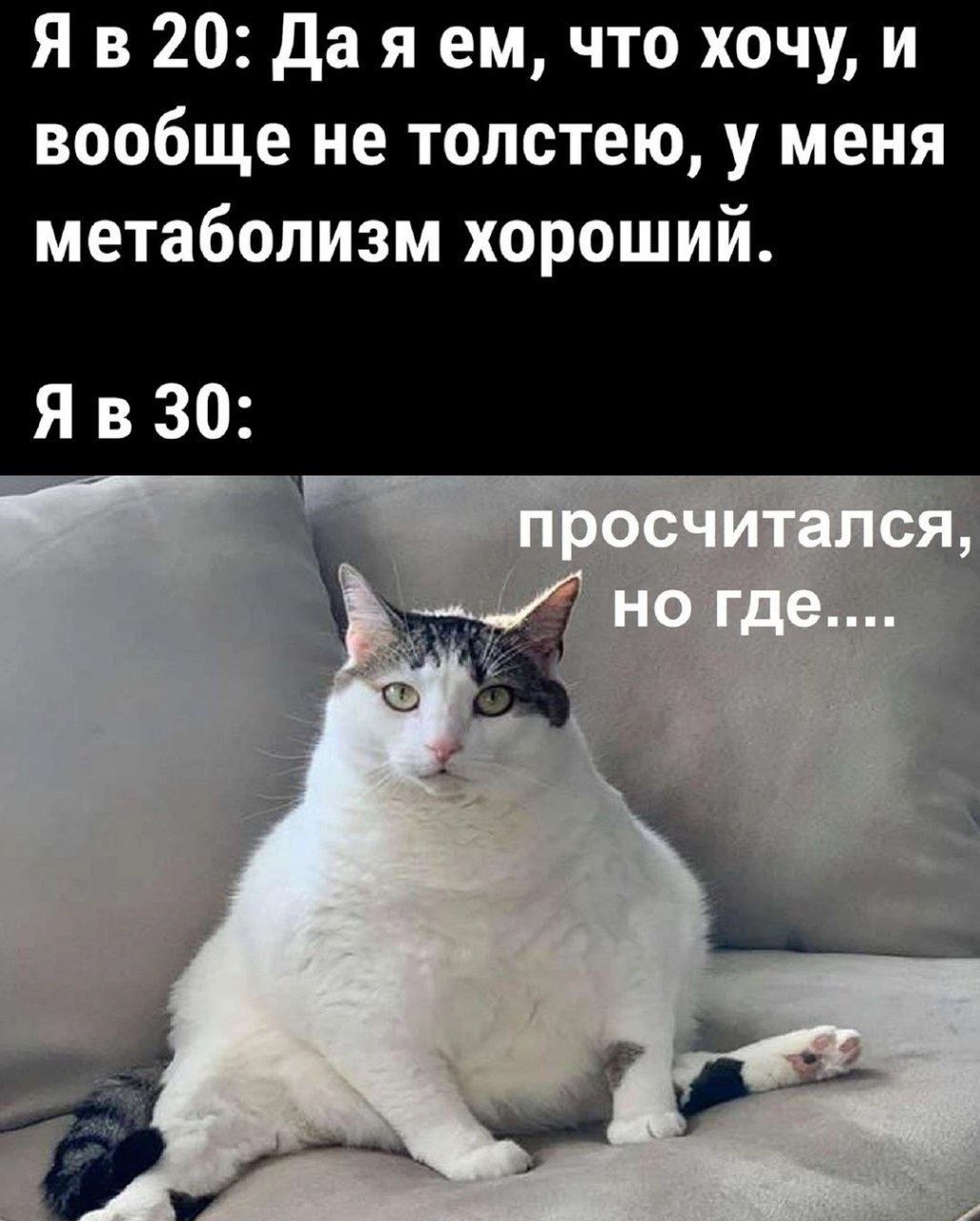 Яв 20 Да я ем что хочу и вообще не толстею у меня метаболизм хороший