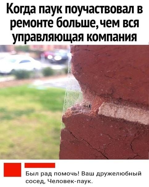 Когда паук поучаствовал в ремонте больше чем вся управляющая компания ЕЕЕЫЕЕнН Был рад помочь Ваш дружелюбный сосед Человек паук