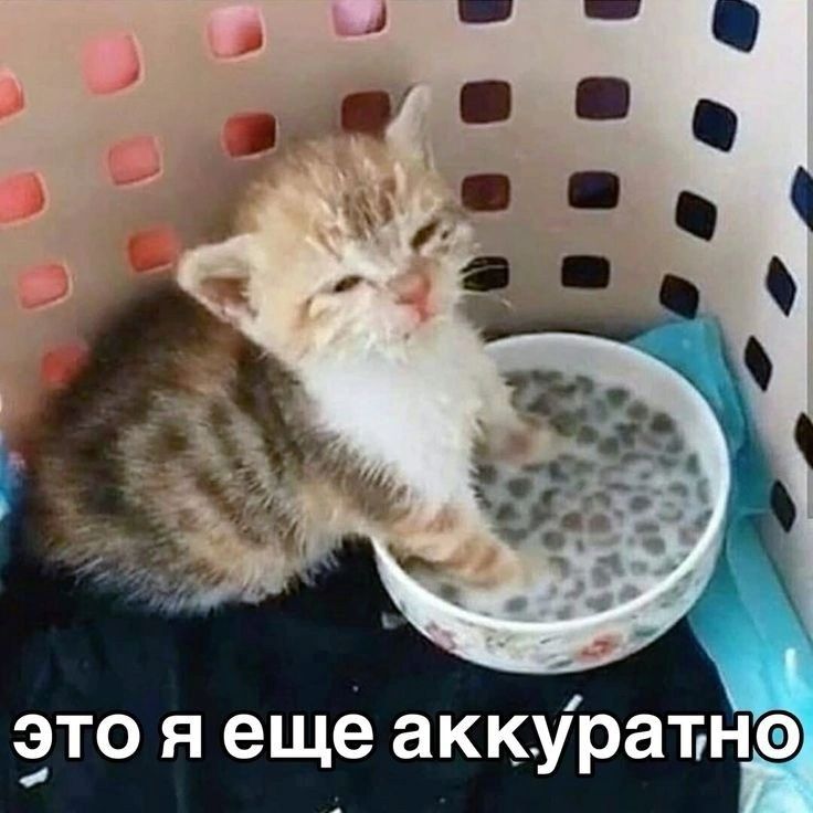 е с х этояе