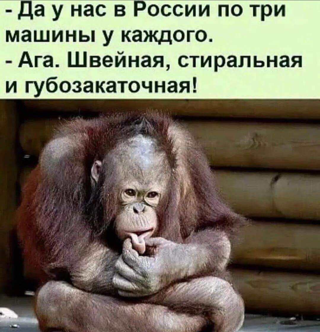 Да у нас в России по три машины у каждого Ага Швейная стиральная и губозакаточная