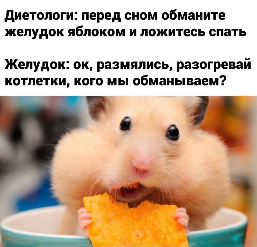 Диетологи перед сном обманите желудок яблоком и ложитесь спать Желудок ок размялись разогревай котлетки кого мы обманываем й Ос