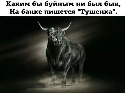 Каким бы буйным ни был бык
