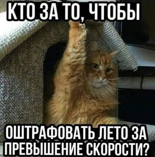 ПШТРАФОВАТЬ ЛЕТО ЗА ПРЕВЫШЕНИЕ СКОРОСТИ