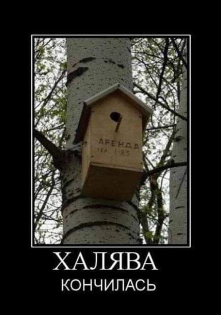 ХАЛЯВА КОНЧИЛАСЬ