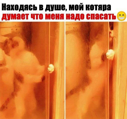 д что меня надо спасать Е
