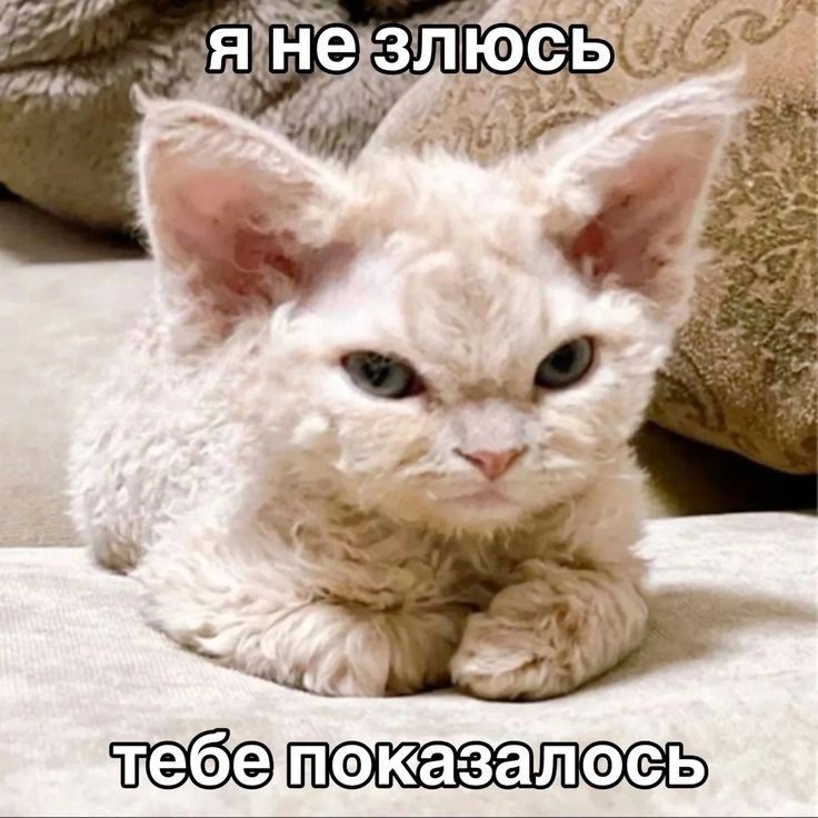 теоетоказалось