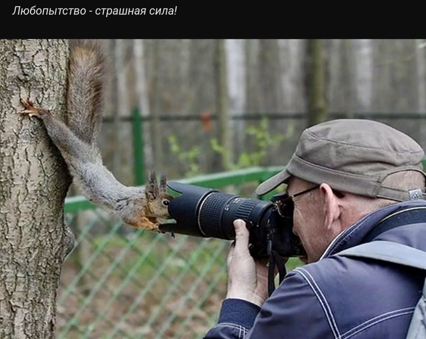 Любопытство страшная сила