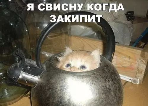 Я СВИСНУК ГДА ЗАКИПИТЧ 7 ат