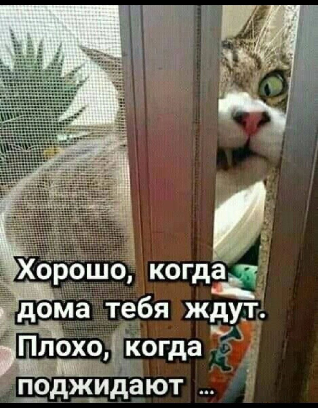 поджидают