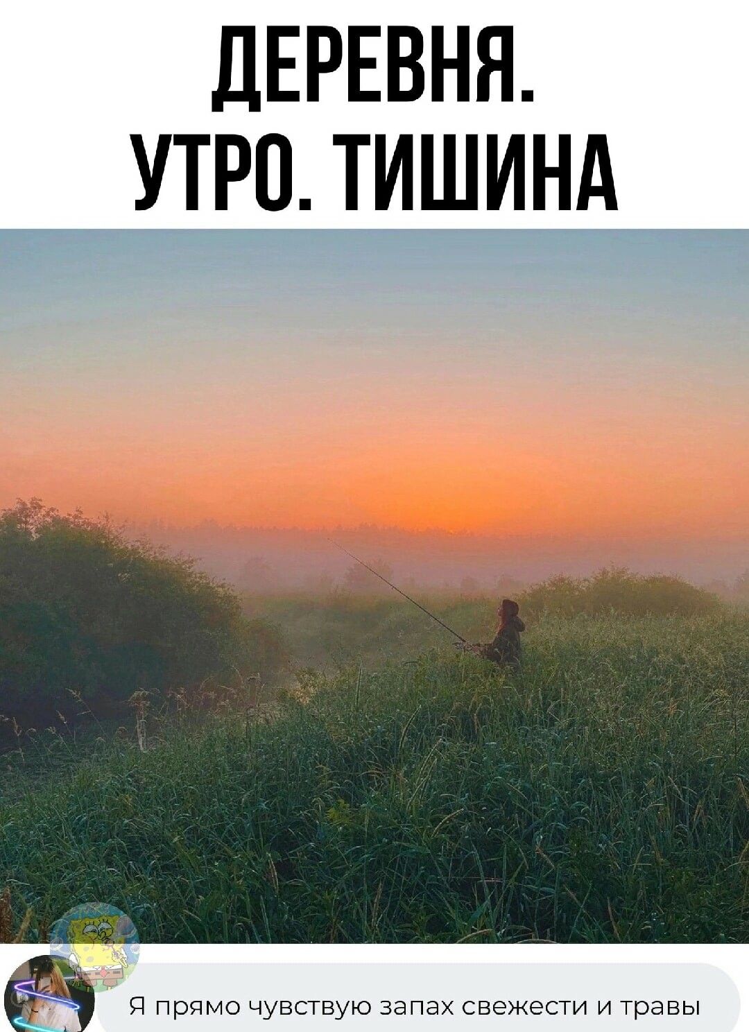 ДЕРЕВНЯ УТРО ТИШИНА